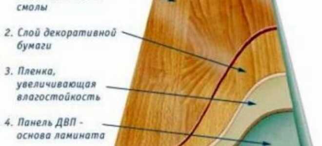 Укладка ламината на бетонный пол: технология проведения монтажных работ