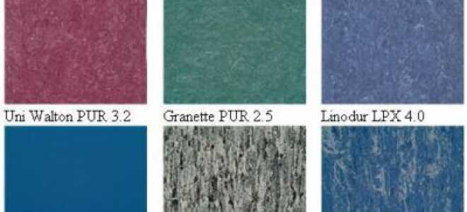 Натуральный линолеум: обзор характеристик покрытия и отзывы владельцев