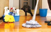 Как часто надо пылесосить и мыть полы