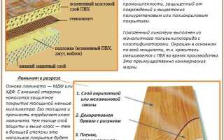 Линолеум или ламинат: что лучше, дешевле, практичнее, экологичнее?