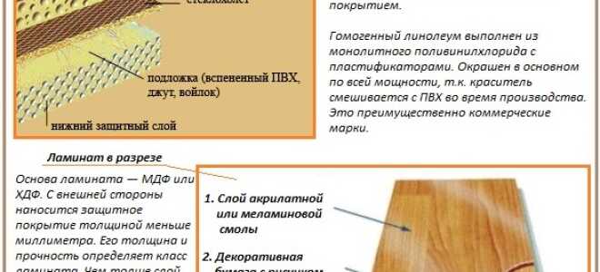 Линолеум или ламинат: что лучше, дешевле, практичнее, экологичнее?
