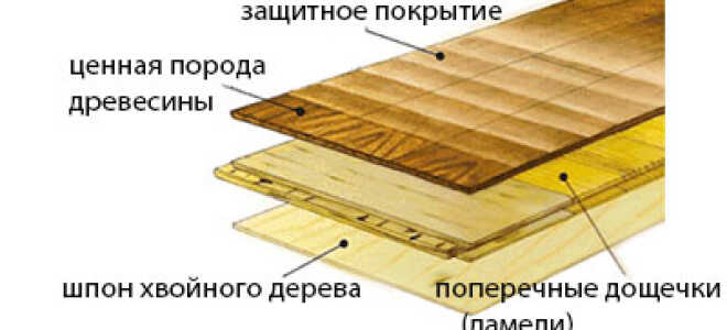 Что лучше паркет или ламинат: сравниваем напольные покрытия