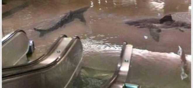 Что такое наливной пол: виды, характеристики и сколько он стоит