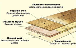 Паркетная доска или ламинат — что лучше?! Советы экспертов