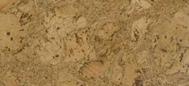 Пробковое напольное покрытие — отзывы и характеристики