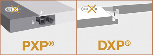 DXP