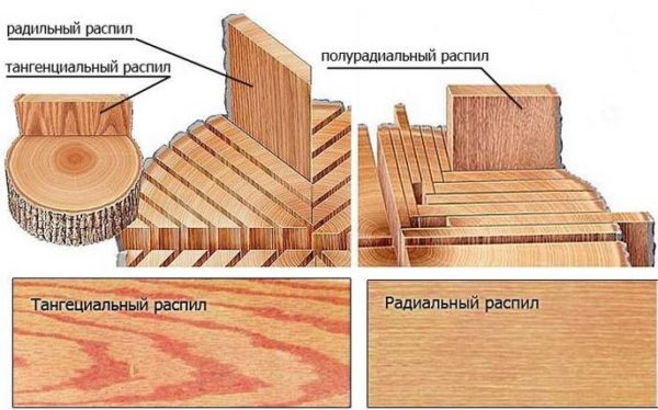 Тангенциальный и радиальный распил
