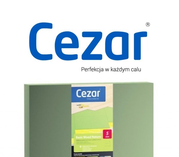 Рис. 11